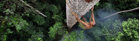 Planet des Lebens  (BBC Earth/ Polyband)