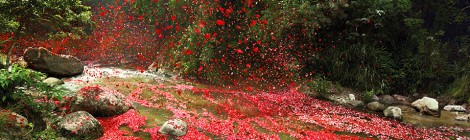 TV-Genuss in bisher nie dagewesener Qualität