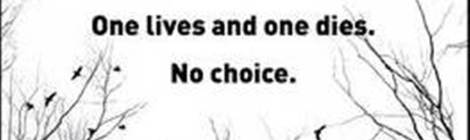 M. J. Arlidge: Eene Meene (rororo)