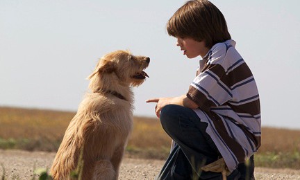 Mein Freund Smitty - Ein Sommer voller Abenteuer (Koch Media)